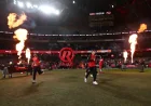 Renegades Weigh Move Away From Marvel Stadium After 15 Years