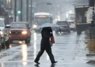 Environment Canada Issues Halifax Weather Statement for 30 to 50 mm