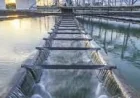 American Water Advances 2026 Grants and Infrastructure Upgrades