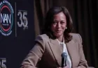 Kamala Harris Potential 2028 Run Hits 50 Percent in New Poll