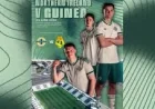Northern Ireland to Face Guinea in Spain on 4 June — Bbc Sport Ni