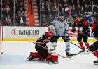 Saguenéens and Huskies tied 2-2 before Game 5 at Centre Georges-Vézina — Lhjmq