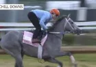 Dave Portnoy Sends Lovely Grey Into 152nd Kentucky Oaks