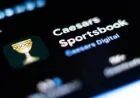 Betmgm cuts 2026 revenue guidance as prediction markets bite