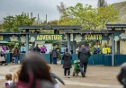 Tripadvisor ranks Hoo Zoo second as Chester Zoo appears in UK zoo list