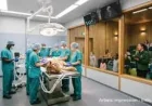 Whipsnade Zoo: Mystery £20m donation funds London Zoo vet gallery