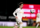 Charlton Seal Safety Before Swansea Vs Charlton Finale