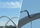 Guido Reichstadter Occupies Frederick Douglass Bridge, Closing South Capitol Street