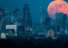 May 2026 Blue Moon Arrives Twice in One Month — Full Moon May 2026 Flower Moon Horoscope