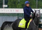 The Puma Horse Scratched as Derby Field Drops to 19