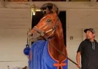 Mike Repole Threatens The Jockey Club Lawsuit With Renegade At Derby