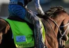 John Velazquez Tops $500 Million After Racing Career Milestone