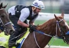 Louisville Ky Weather Forecast Holds Derby Day at 59 Degrees