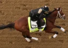 Mike Repole backs Renegade as Daisy Phipps Pulito flags Derby favorite