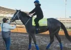 John Ennis Says Great White Kentucky Derby Scratch Followed Flip
