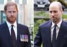 Prince Harry April 16 Remarks Deepen Prince William Rift — Prince William Meghan Harry Information
