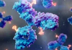 Scientists Develop 10 Antibodies Against Epstein–barr Virus