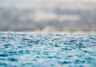 Environment Canada issues special weather statement for Halifax rain — Weather Halifax