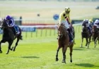 Loughnane Wins 2,000 Guineas on Bow Echo at Newmarket