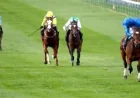 Falakeyah backed to 11-4 for Dahlia Stakes at Newmarket — 1000 Guineas 2026