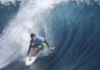 Shark Halts Wsl Gold Coast Pro Shark Action at Snapper Rocks