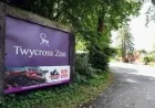 Stacey Dean submits plans for 42 children next to Twycross Zoo