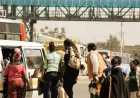 BasiGo Says Costa Rica Models Cost-Saving Bus Shift in Africa