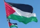 115 Senedd candidates sign Palestine pledge — Tenby