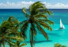 Barbados Tops Caribbean Daily Costs as Travelers Cut Back