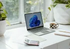 Microsoft Windows Update Changes Pause Windows 11 for 35 Days