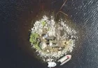 Archaeologists uncover 5,000-year timber platform in Loch Bhorgastail Stone Island Excavation