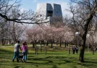 Obama Presidential Center Tickets Go On Sale May 6