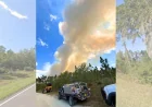 Brush fire tops 100 acres in Gainesville Fire response
