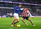 Moyes Sends Everton Into Premier League Standings Run-In With Four Games Left