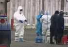 Maine-et-Loire ouvre une avance de trésorerie pour Grippe Aviaire
