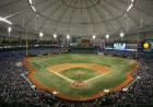Eric Lauer Starts First Pitch for Blue Jays at Tropicana Field