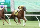59-Degree Weather Derby Could Chill Churchill Downs