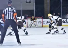 Easton Cowan Headline Five AHL Playoff Games on Tuesday Night