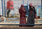 Tony Burke on 13 returnees from Syria — Australian News