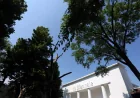 Anish Kapoor and Russia Pavilion Closed at Venice Biennale Opening