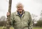 David Attenborough Marks 100 Years in BBC Celebration — When Is David Attenborough's Birthday