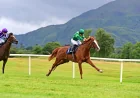 Benvenuto Cellini Faces Six Rivals in Chester Vase — Chester Races