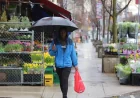 Toronto faces 40 per cent rain chance Tuesday — Cp24 News