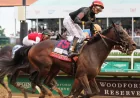 Cherie DeVaux Sends Golden Tempo Preakness Plan Toward Belmont Stakes