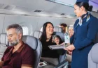 Transat Porter Airlines Partnership Adds 4 South Package Routes