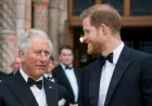 Prince Harry Demands Talks With King Charles Regarding Meghan Markle