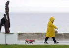 Apotex Wins Health Canada Approval for Ozempic Equivalent — Weather Hamilton