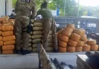 US Coast Guard Seizes 3,200 Pounds of Marijuana off Haiti