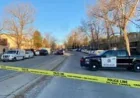 Angeline Boucher Calgary: One dead after Woodlands assault