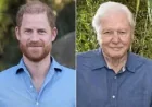 Sir David Attenborough Overwhelmed by 100th Birthday Messages